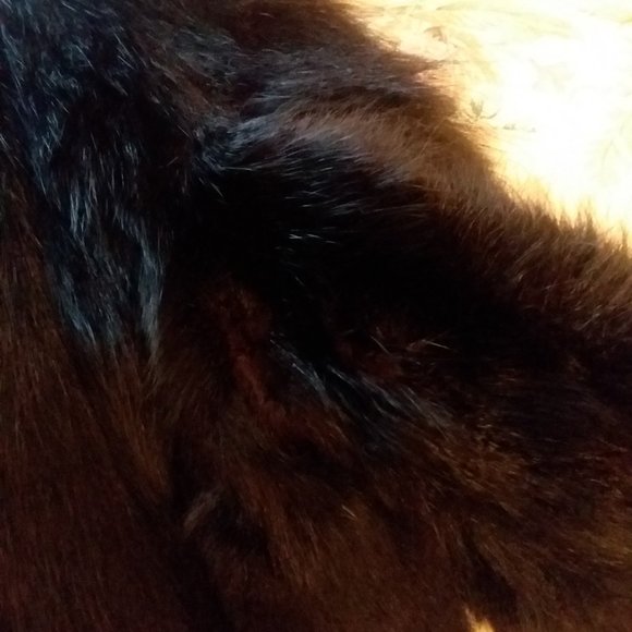 Price drop!!! velvety black fur coat! - Picture 7 of 10